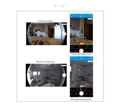 Видеоняня /WiFi IP видеокамера панорамная 180*110* с DVR (fish-BW), HD (360EyeS)