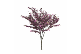 Редактирование вашей 3D модели - конвертация 3D модели из формата max, 3ds, fbx, obj, skp, stl... в формат atlo, изменение, объединение нескольких 3D моделей (формат atlo) в одну 3D модель