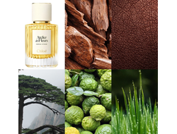 Chloe Atelier Des Fleurs Cedrus Intense