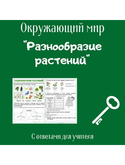 Рабочий лист. 3 класс. "Разнообразие растений"