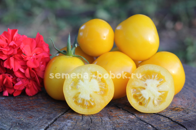 Томат Bosque Blue Bumblebee (Боске Блю Бамблби), 10 шт.