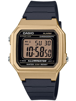Часы Casio W-217HM-9A