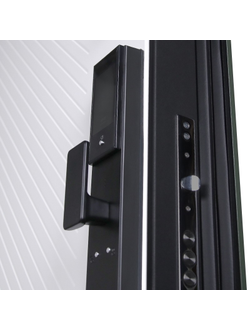 Стальная дверь   Лион (биометрический замок Smart lock DZ 888). Заказная модель.