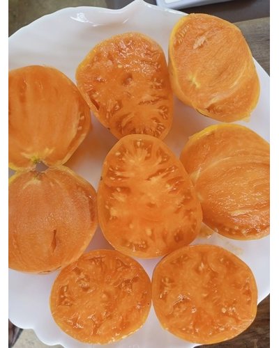 Томат Дынный ликер