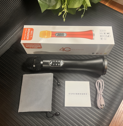 Профессиональный караоке-микрофон  L-1288DSP  40w