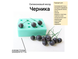 "Черника" силиконовый молд