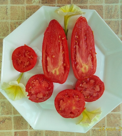 Томат Osu o Blonde avec Tetons (Пышногрудая блондинка Osu)