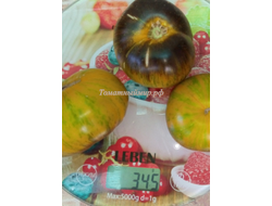 Томат Зеленая богиня Ксанаду (Xanadu Green Goddess), США