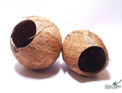 FF Cocos Cava 1/1SM - Укрытие декоративное из кожуры кокоса 6-10 см (целый)