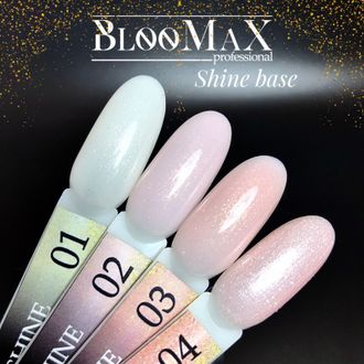 База BlooMaX камуфлирующая Shine 04