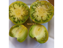 Томат Ярсон 18-3, Jarson 18/3