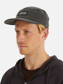 Кепка Anteater 5Panel Серая фото 4