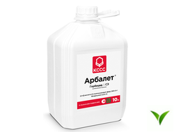 Арбалет СЭ 10 л