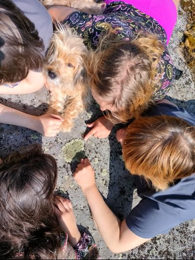 Пешая прогулка "Щельга: ледниковое прошлое Заонежья"