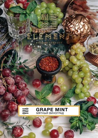 Табак Element Grape Mint Мятный Виноград Воздух  200 гр