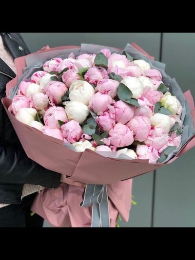 Букет из 51 пиона