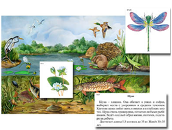 Магнитный плакат-аппликация "Водоем: биоразнообразие и взаимосвязи в сообществе"