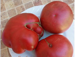 Томат Голубой Казахстан (Blaue Kasachstan)