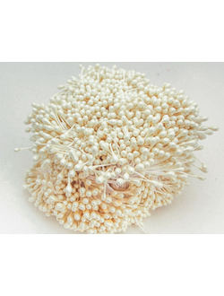 Тычинки капельки около 340 нитей , двусторонние , цвет молочный