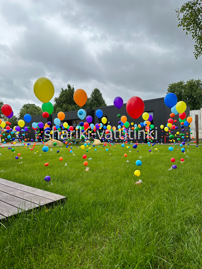 Шар цепочка с пузырями цвет ассорти (размер 12д)