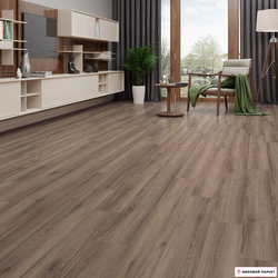 Ламинат Classen Avangard Plus Дуб Аутентик 4525 купить в интернет-магазине mirovoy-parquet.ru