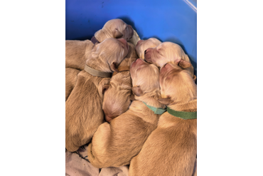 22.02.25 Малыши родились!