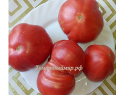 Томат Восхитительный Хой (Hoy Delicious)