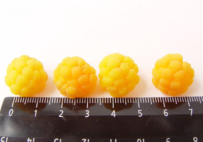 Набор молдов "Брусника, черника, морошка"