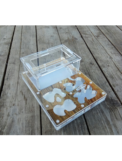 Формикарий 4ants комплект Antrum M дерево + муравьи Messor Structor