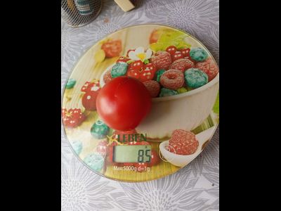 Томат Совершенство Ливингстона (Livingston's Perfection)