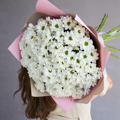 Букет из 15 кустовых хризантем (цвет на выбор)