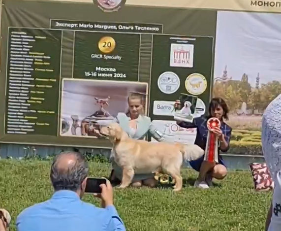 15.06.24. ХХ Чемпионат НКП, Эксперт Ольга Тесленко (Россия). Янис - лучший щенок-кобель