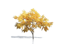 Создание щитов Billboards для Artlantis 5 - Artlantis 2021 (по вашей текстуре в формате png, tif, tga и т.п. с маской прозрачности)