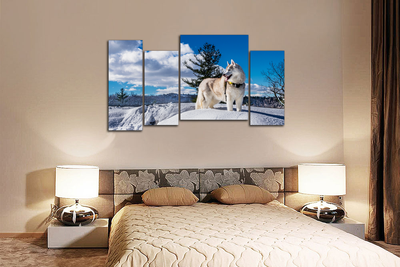 Модульная картина "Снежная лайка"