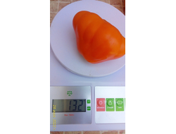 Томат Японский трюфель оранжевый