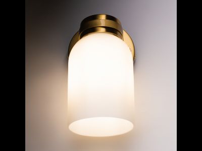 Freya, Настенный светильник (бра) Kamelia, FR5446WL-01BS