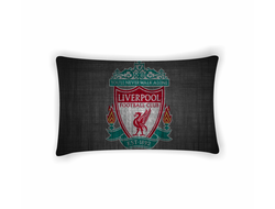 Подушка горизонтальная Ливерпуль, Liverpool FC №9