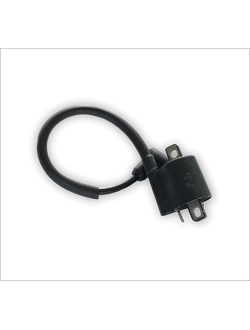 Катушка зажигания высоковольтная двигателя BAIKAL 6 л.с.