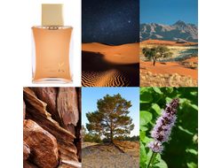 Ella K Parfums Cri Du Kalahar