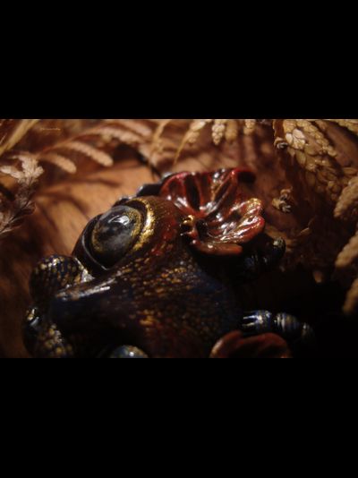 "Шуршащий Вихрябрррь". Коллекционная брошь с котом в стиле фэнтези