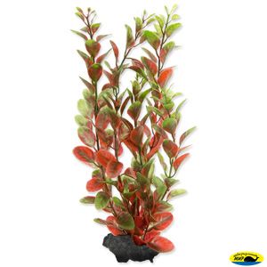 270442 Растение аквариумное Red Ludwigia (M) 23см с утяжелителем