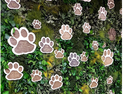 Море. Тигры. Рождество. 3-8 января 2026