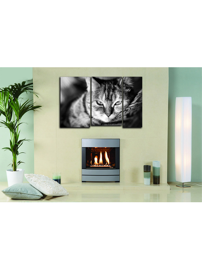 Модульная картина &quot;Кошачье блаженство&quot;