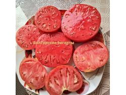 Томат Болгарский гигант (Bulgarian giant)