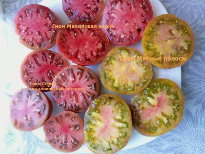 Томат Мятные полосы (Dwarf Peppermint Stripes)