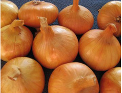 ЛУК СЕМЕЙНЫЙ "РОСТОВСКИЙ"