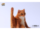 Котик на пуфике (рыжий) - Коллекционная ФИГУРКА 1/6 scale lazy cat 4.0 (JXK056B) - JXK