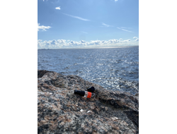 Духи АККОРД: ЧЁРНЫЕ КОШКИ 3,5 мл