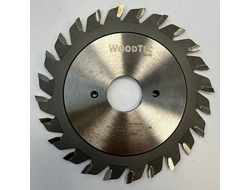 Подрезная составная пила  для форматно-раскроечных станков Ø100 х 20 х 2,8-3,6 Z = 12 + 12 WoodTec, от
