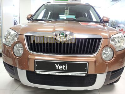 Защита радиатора Skoda Yeti 2009-2013 black